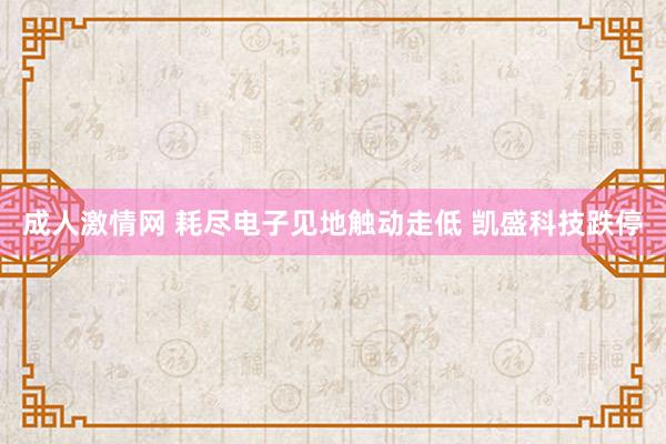 成人激情网 耗尽电子见地触动走低 凯盛科技跌停