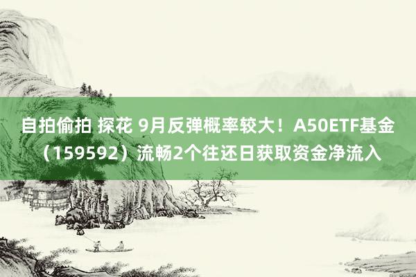 自拍偷拍 探花 9月反弹概率较大！A50ETF基金（159592）流畅2个往还日获取资金净流入