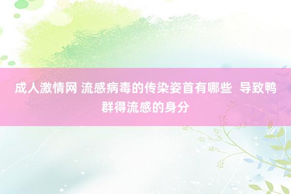 成人激情网 流感病毒的传染姿首有哪些  导致鸭群得流感的身分