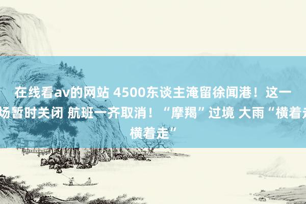 在线看av的网站 4500东谈主淹留徐闻港！这一机场暂时关闭 航班一齐取消！“摩羯”过境 大雨“横着走”