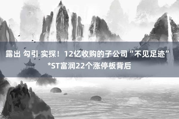 露出 勾引 实探！12亿收购的子公司“不见足迹” *ST富润22个涨停板背后