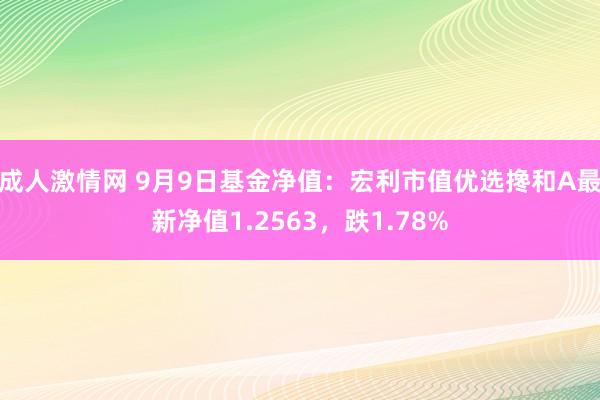 成人激情网 9月9日基金净值：宏利市值优选搀和A最新净值1.2563，跌1.78%