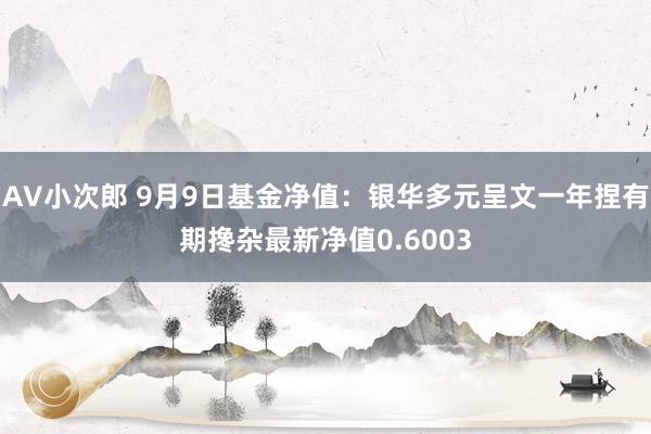 AV小次郎 9月9日基金净值：银华多元呈文一年捏有期搀杂最新净值0.6003