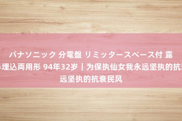 パナソニック 分電盤 リミッタースペース付 露出・半埋込両用形 94年32岁｜为保执仙女我永远坚执的抗衰民风