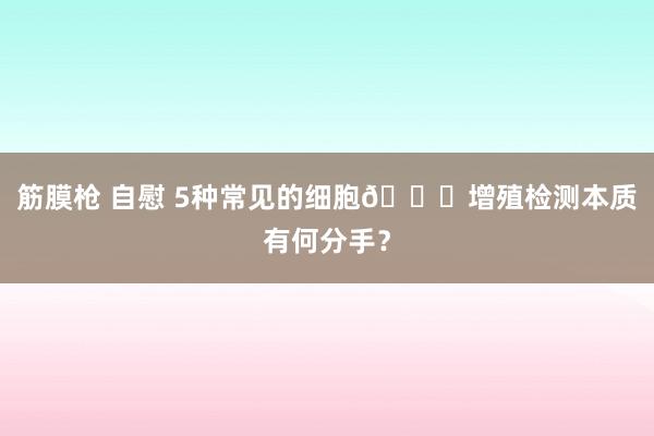 筋膜枪 自慰 5种常见的细胞🔍增殖检测本质有何分手？