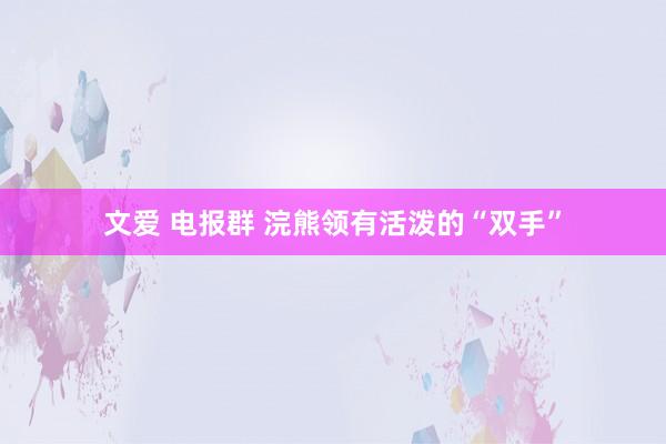 文爱 电报群 浣熊领有活泼的“双手”