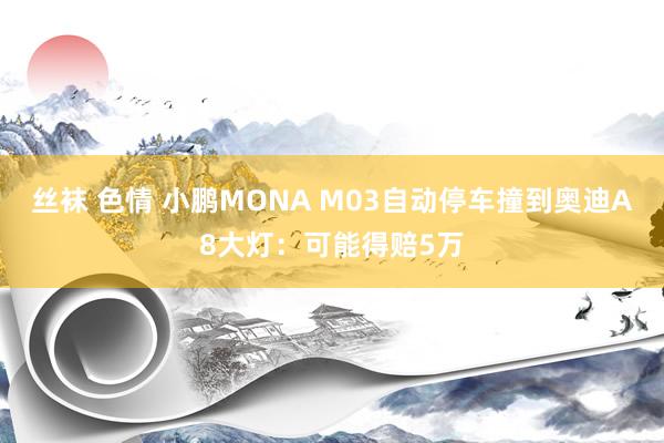 丝袜 色情 小鹏MONA M03自动停车撞到奥迪A8大灯：可能得赔5万