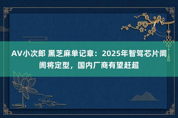 AV小次郎 黑芝麻单记章：2025年智驾芯片阛阓将定型，国内厂商有望赶超