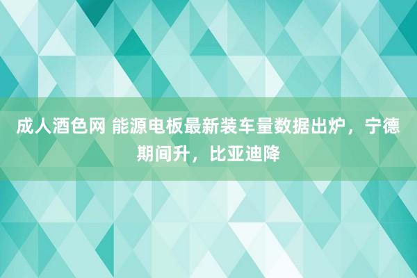 成人酒色网 能源电板最新装车量数据出炉，宁德期间升，比亚迪降