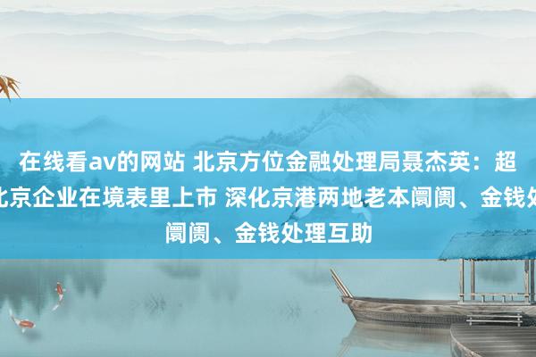 在线看av的网站 北京方位金融处理局聂杰英：超800家北京企业在境表里上市 深化京港两地老本阛阓、金钱处理互助