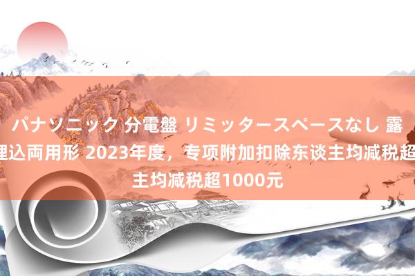 パナソニック 分電盤 リミッタースペースなし 露出・半埋込両用形 2023年度，专项附加扣除东谈主均减税超1000元