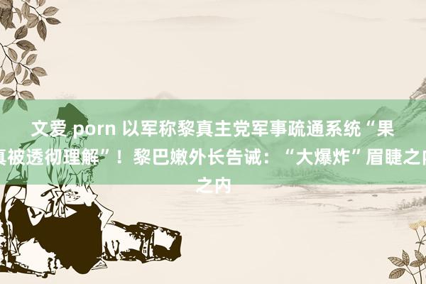 文爱 porn 以军称黎真主党军事疏通系统“果真被透彻理解”！黎巴嫩外长告诫：“大爆炸”眉睫之内