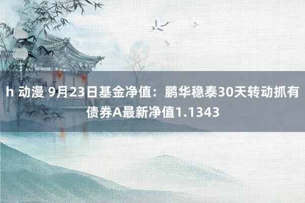 h 动漫 9月23日基金净值：鹏华稳泰30天转动抓有债券A最新净值1.1343