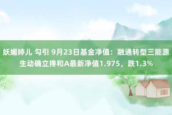 妖媚婷儿 勾引 9月23日基金净值：融通转型三能源生动确立搀和A最新净值1.975，跌1.3%