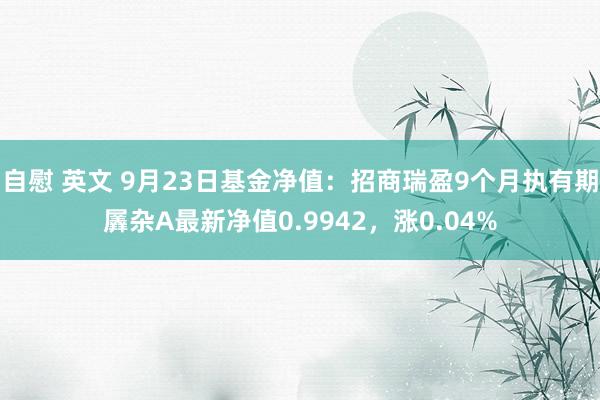 自慰 英文 9月23日基金净值：招商瑞盈9个月执有期羼杂A最新净值0.9942，涨0.04%