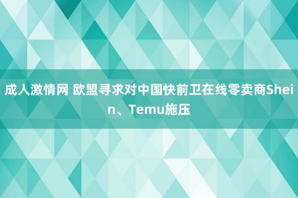 成人激情网 欧盟寻求对中国快前卫在线零卖商Shein、Temu施压