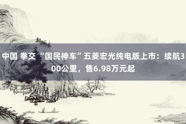 中国 拳交 “国民神车”五菱宏光纯电版上市：续航300公里，售6.98万元起