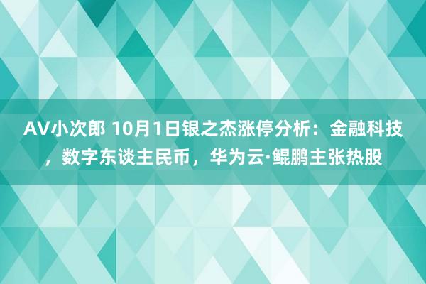 AV小次郎 10月1日银之杰涨停分析：金融科技，数字东谈主民币，华为云·鲲鹏主张热股