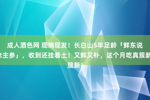 成人酒色网 现摘现发！长白山5年足龄「鲜东说念主参」，收到还挂着土！又鲜又补，这个月吃真簇新！