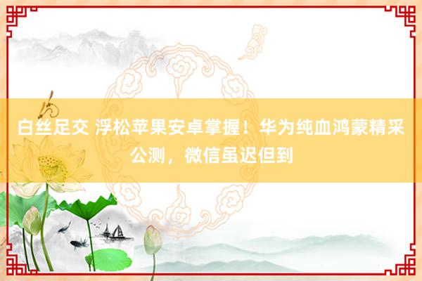 白丝足交 浮松苹果安卓掌握！华为纯血鸿蒙精采公测，微信虽迟但到