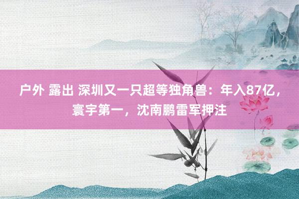 户外 露出 深圳又一只超等独角兽：年入87亿，寰宇第一，沈南鹏雷军押注