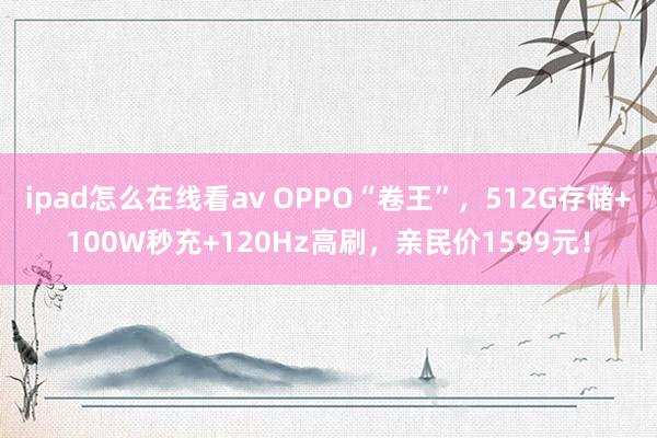 ipad怎么在线看av OPPO“卷王”，512G存储+100W秒充+120Hz高刷，亲民价1599元！