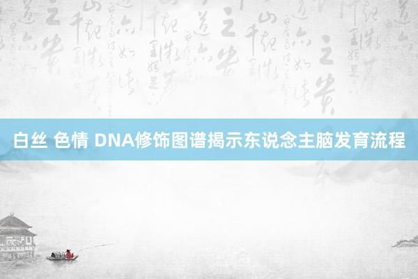 白丝 色情 DNA修饰图谱揭示东说念主脑发育流程