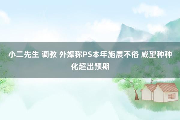 小二先生 调教 外媒称PS本年施展不俗 威望种种化超出预期