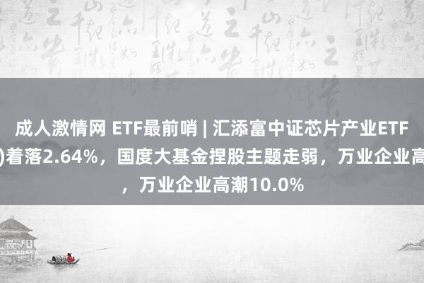 成人激情网 ETF最前哨 | 汇添富中证芯片产业ETF(516920)着落2.64%，国度大基金捏股主题走弱，万业企业高潮10.0%