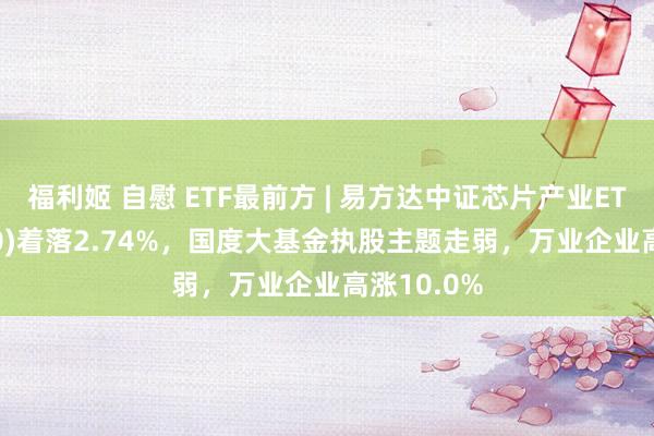 福利姬 自慰 ETF最前方 | 易方达中证芯片产业ETF(516350)着落2.74%，国度大基金执股主题走弱，万业企业高涨10.0%