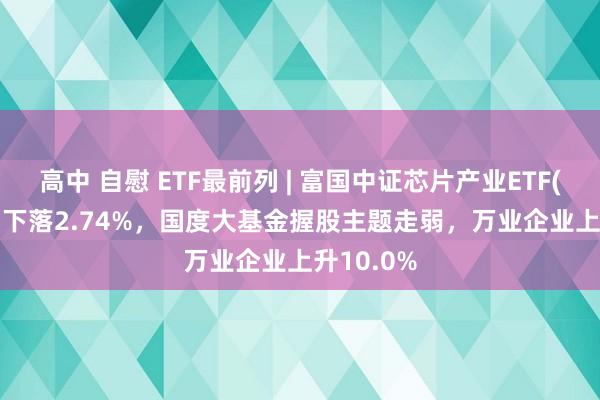 高中 自慰 ETF最前列 | 富国中证芯片产业ETF(516640)下落2.74%，国度大基金握股主题走弱，万业企业上升10.0%