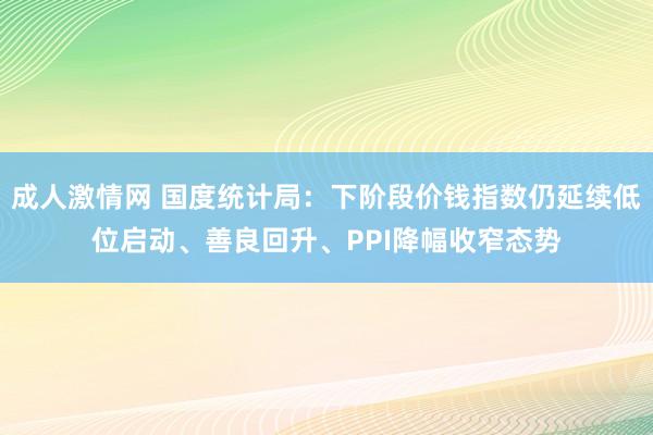 成人激情网 国度统计局：下阶段价钱指数仍延续低位启动、善良回升、PPI降幅收窄态势