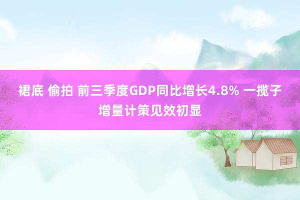 裙底 偷拍 前三季度GDP同比增长4.8% 一揽子增量计策见效初显