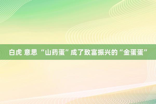 白虎 意思 “山药蛋”成了致富振兴的“金蛋蛋”