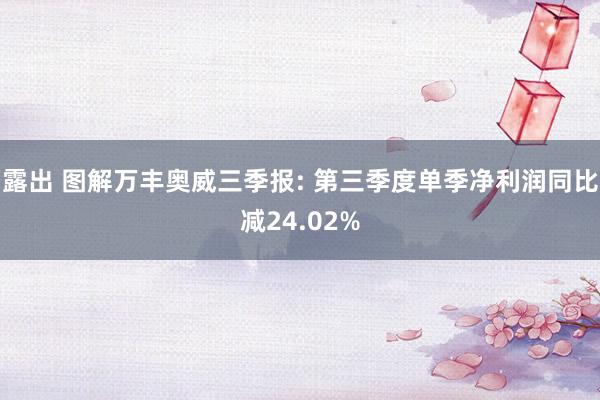 露出 图解万丰奥威三季报: 第三季度单季净利润同比减24.02%