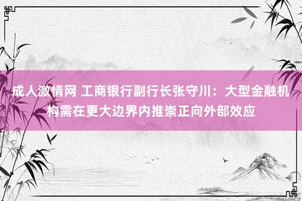 成人激情网 工商银行副行长张守川：大型金融机构需在更大边界内推崇正向外部效应