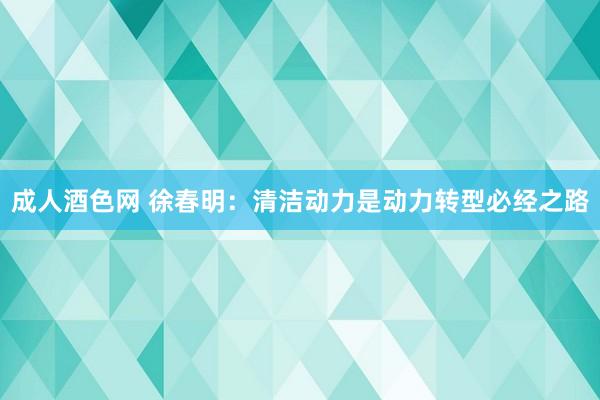 成人酒色网 徐春明：清洁动力是动力转型必经之路