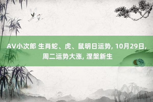 AV小次郎 生肖蛇、虎、鼠明日运势， 10月29日， 周二运势大涨， 涅槃新生