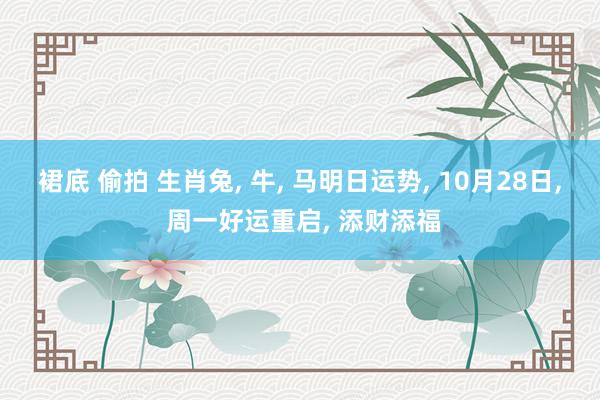 裙底 偷拍 生肖兔， 牛， 马明日运势， 10月28日， 周一好运重启， 添财添福