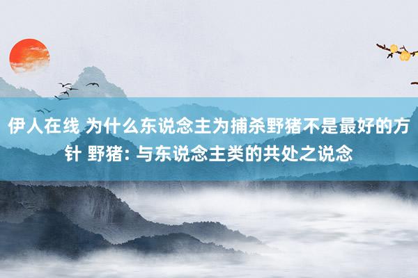 伊人在线 为什么东说念主为捕杀野猪不是最好的方针 野猪: 与东说念主类的共处之说念