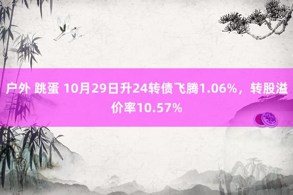 户外 跳蛋 10月29日升24转债飞腾1.06%，转股溢价率10.57%