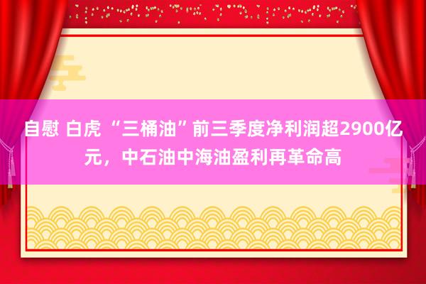 自慰 白虎 “三桶油”前三季度净利润超2900亿元，中石油中海油盈利再革命高