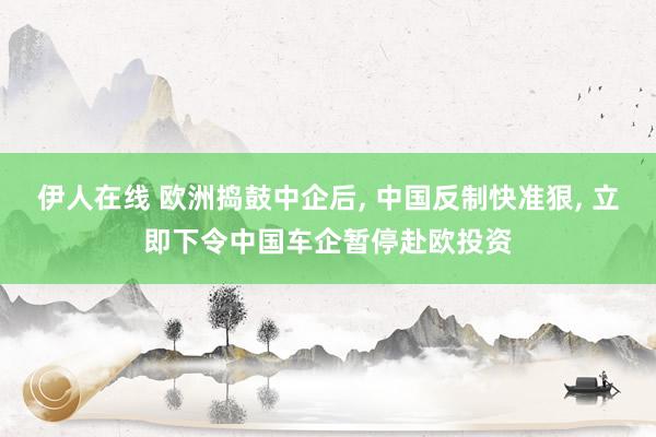 伊人在线 欧洲捣鼓中企后， 中国反制快准狠， 立即下令中国车企暂停赴欧投资