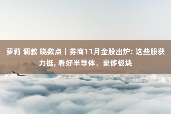 萝莉 调教 晓数点丨券商11月金股出炉: 这些股获力挺， 看好半导体、豪侈板块