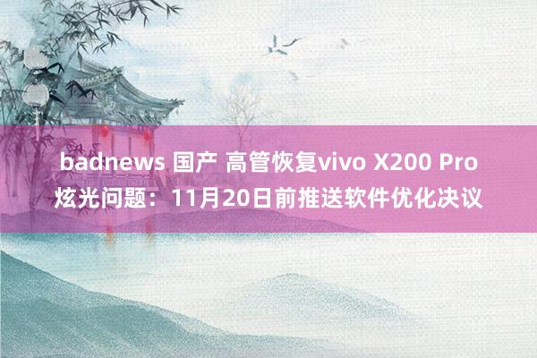 badnews 国产 高管恢复vivo X200 Pro炫光问题：11月20日前推送软件优化决议