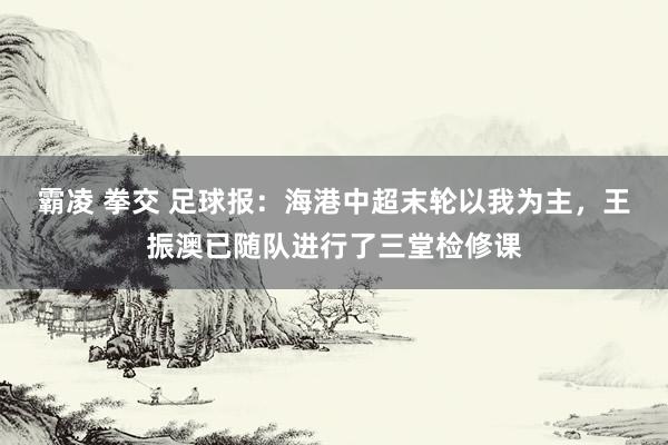 霸凌 拳交 足球报：海港中超末轮以我为主，王振澳已随队进行了三堂检修课