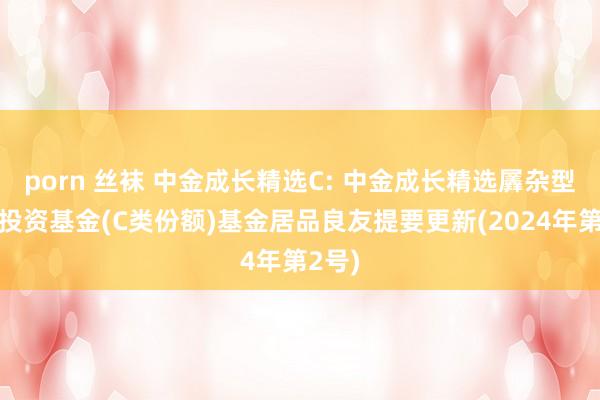 porn 丝袜 中金成长精选C: 中金成长精选羼杂型证券投资基金(C类份额)基金居品良友提要更新(2024年第2号)