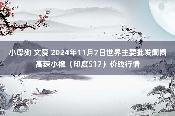 小母狗 文爱 2024年11月7日世界主要批发阛阓高辣小椒（印度S17）价钱行情