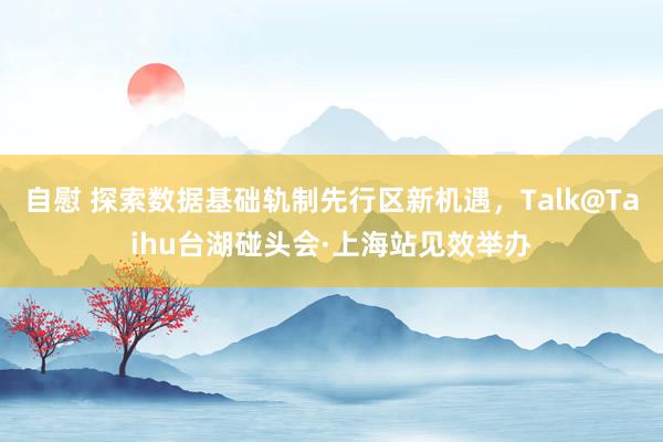 自慰 探索数据基础轨制先行区新机遇，Talk@Taihu台湖碰头会·上海站见效举办