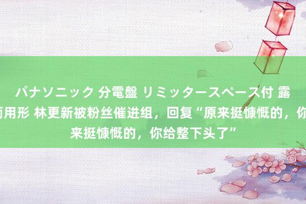 パナソニック 分電盤 リミッタースペース付 露出・半埋込両用形 林更新被粉丝催进组，回复“原来挺慷慨的，你给整下头了”